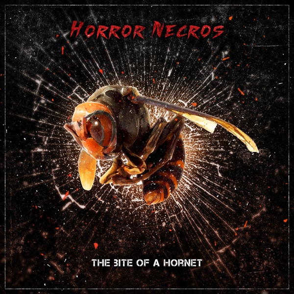 Horror Necros "The Bite Of A Hornet"