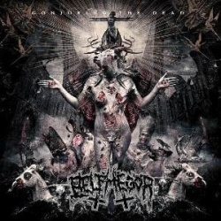 Belphegor Black Winged Torment