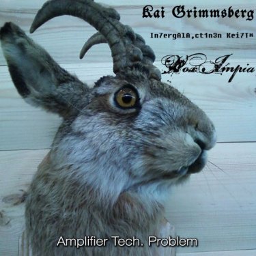 Kai Grimmsberg, In7ergAlA​,​ct1n3n Kei7T¤, Vox Impia, Amplifier Tech. Problem