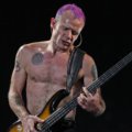 Басист Red Hot Chili Peppers Фли