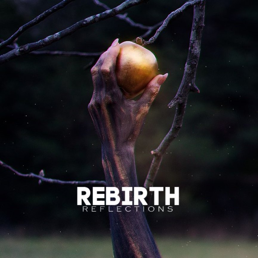 rebirth 6