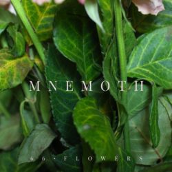MNEMOTH 66/FLOWERS